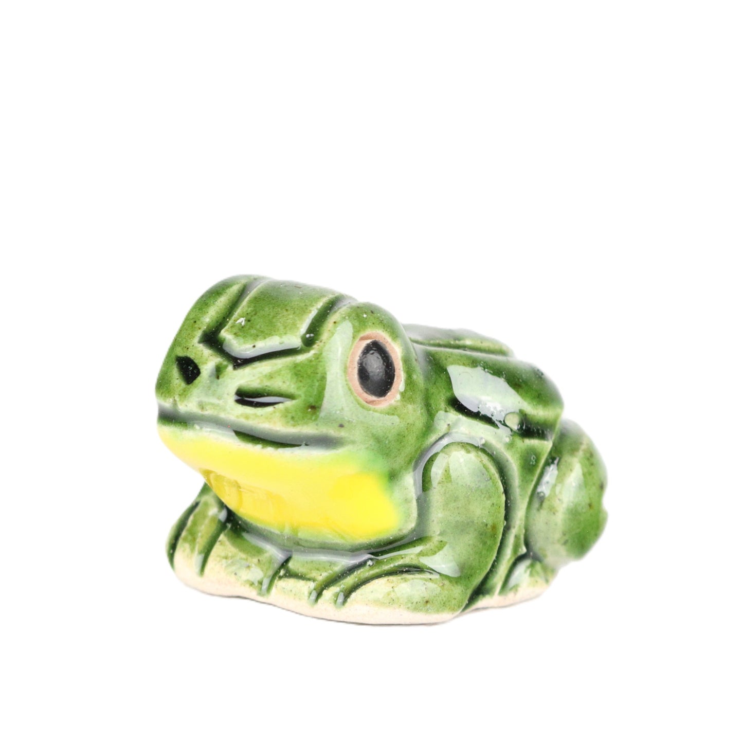 Yellow Bellied Frog