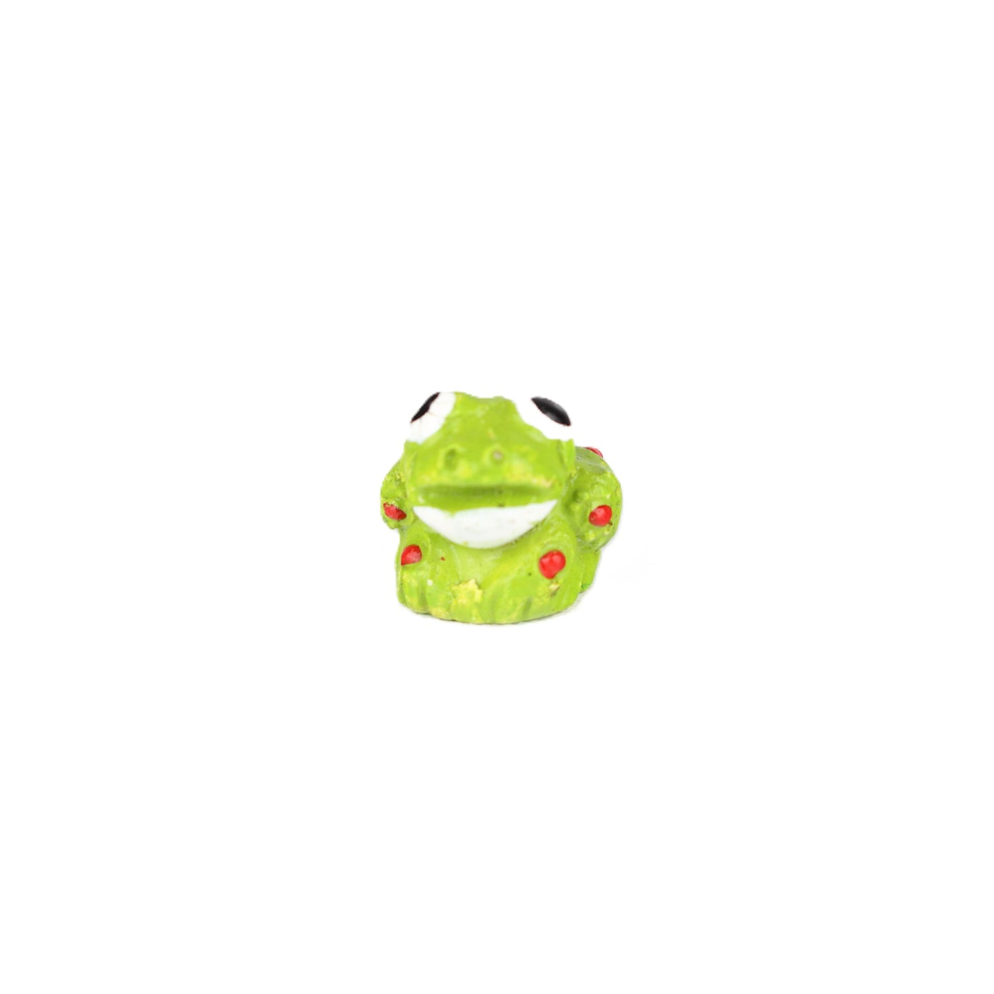 Small Frog