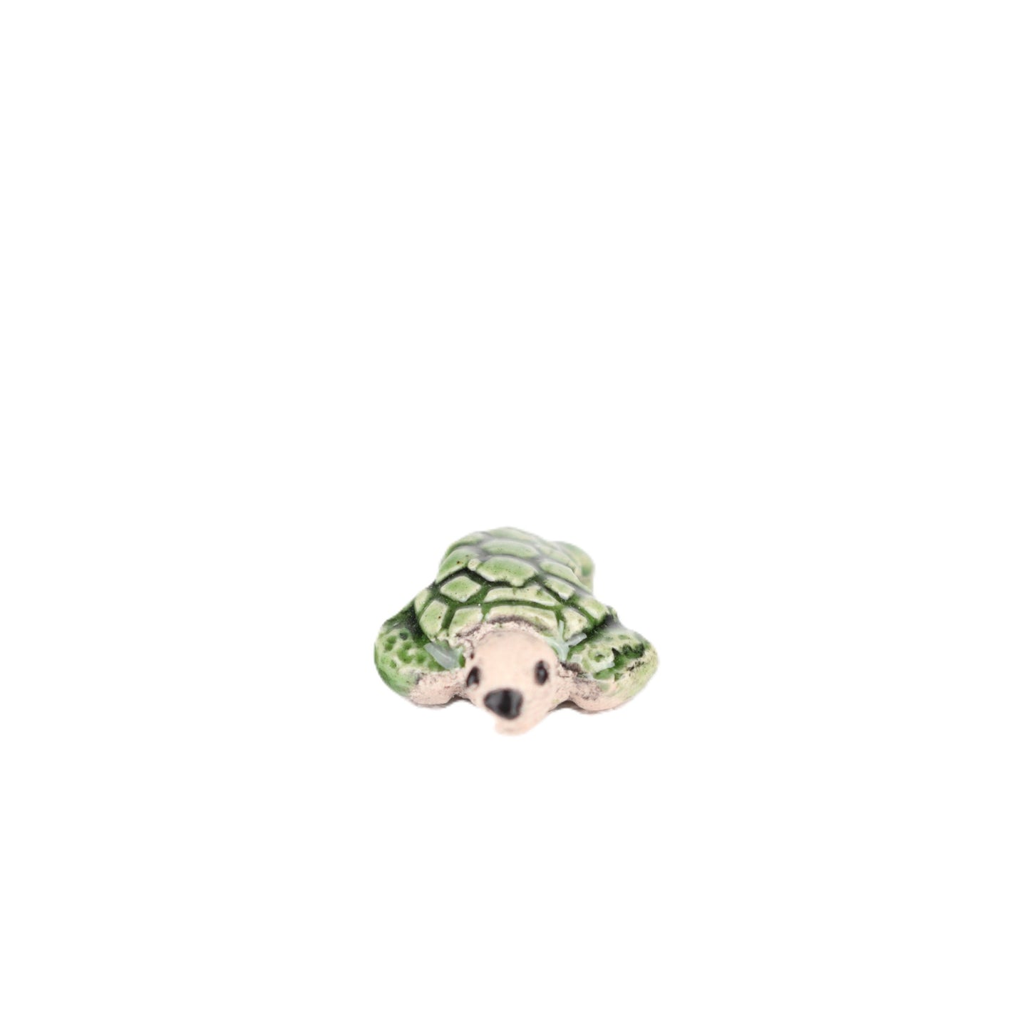 Small Turtle