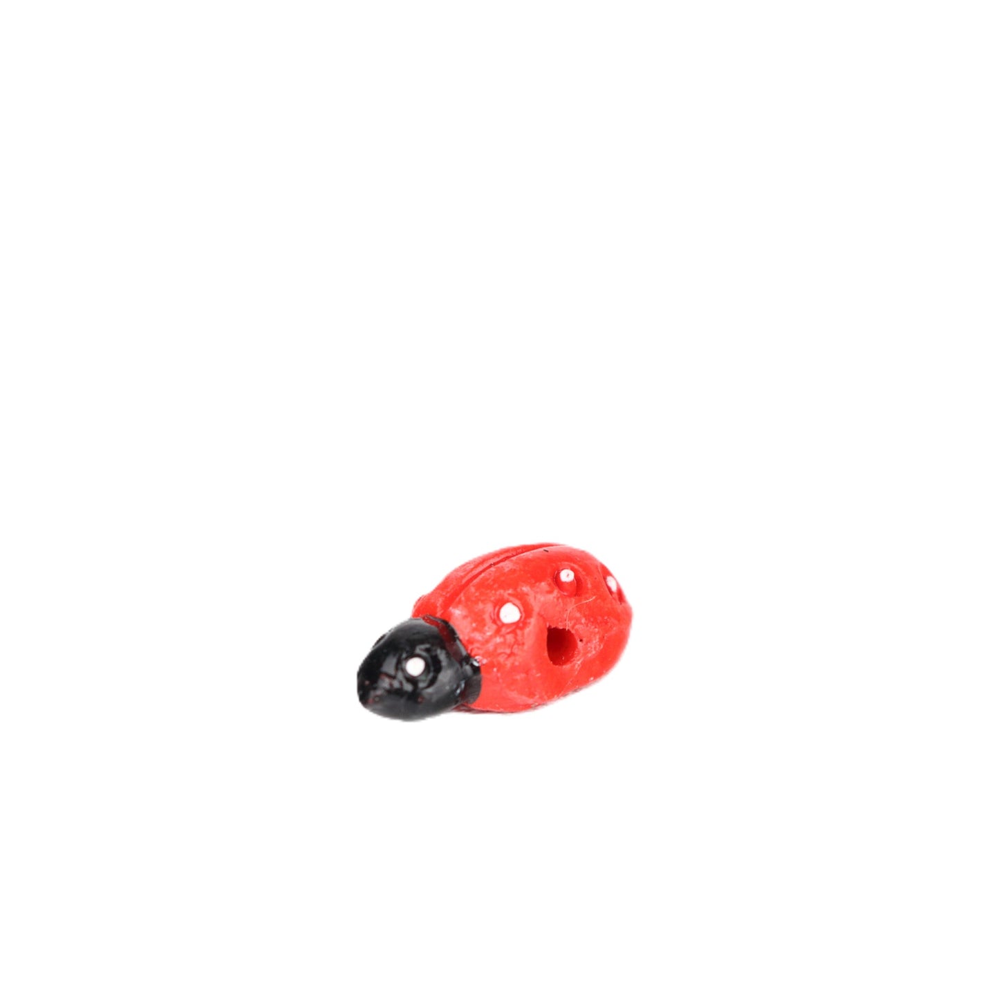 Small Ladybird