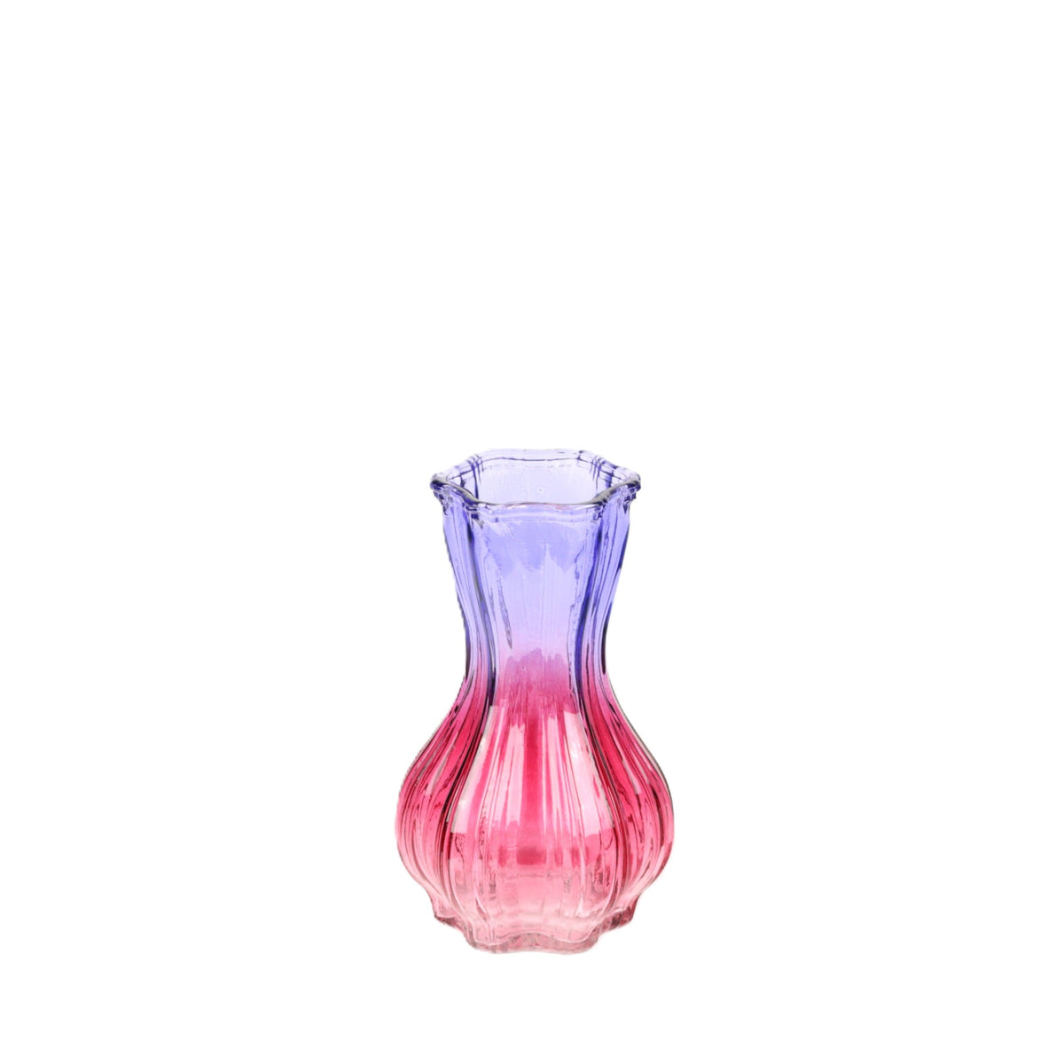 Rose Lilac Bulb Small