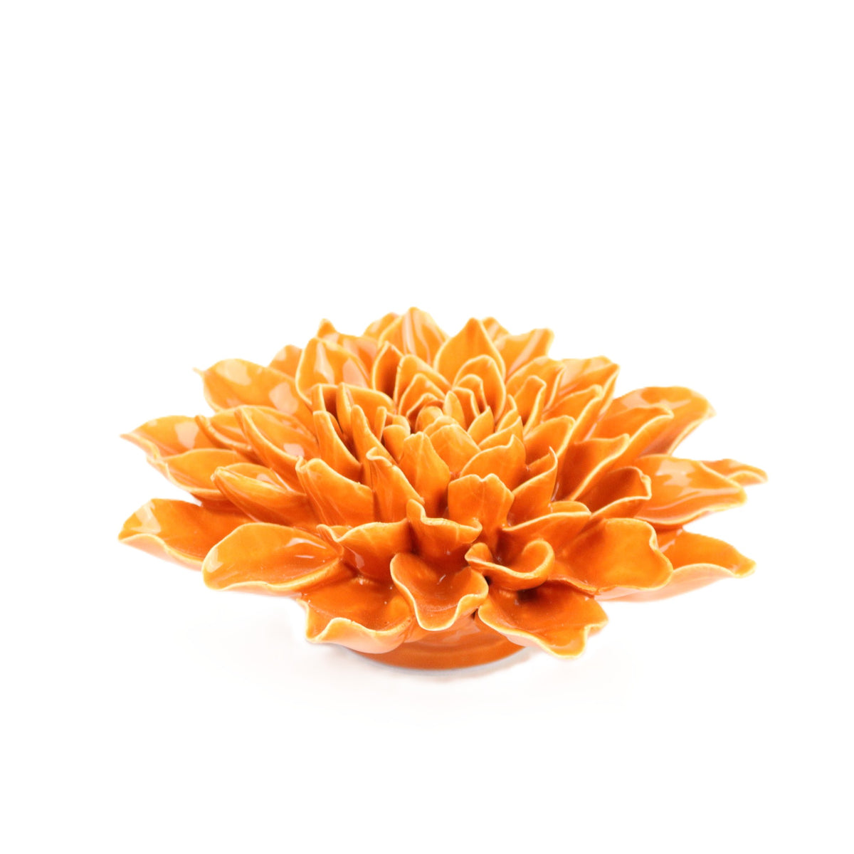 Tangerine Azalea