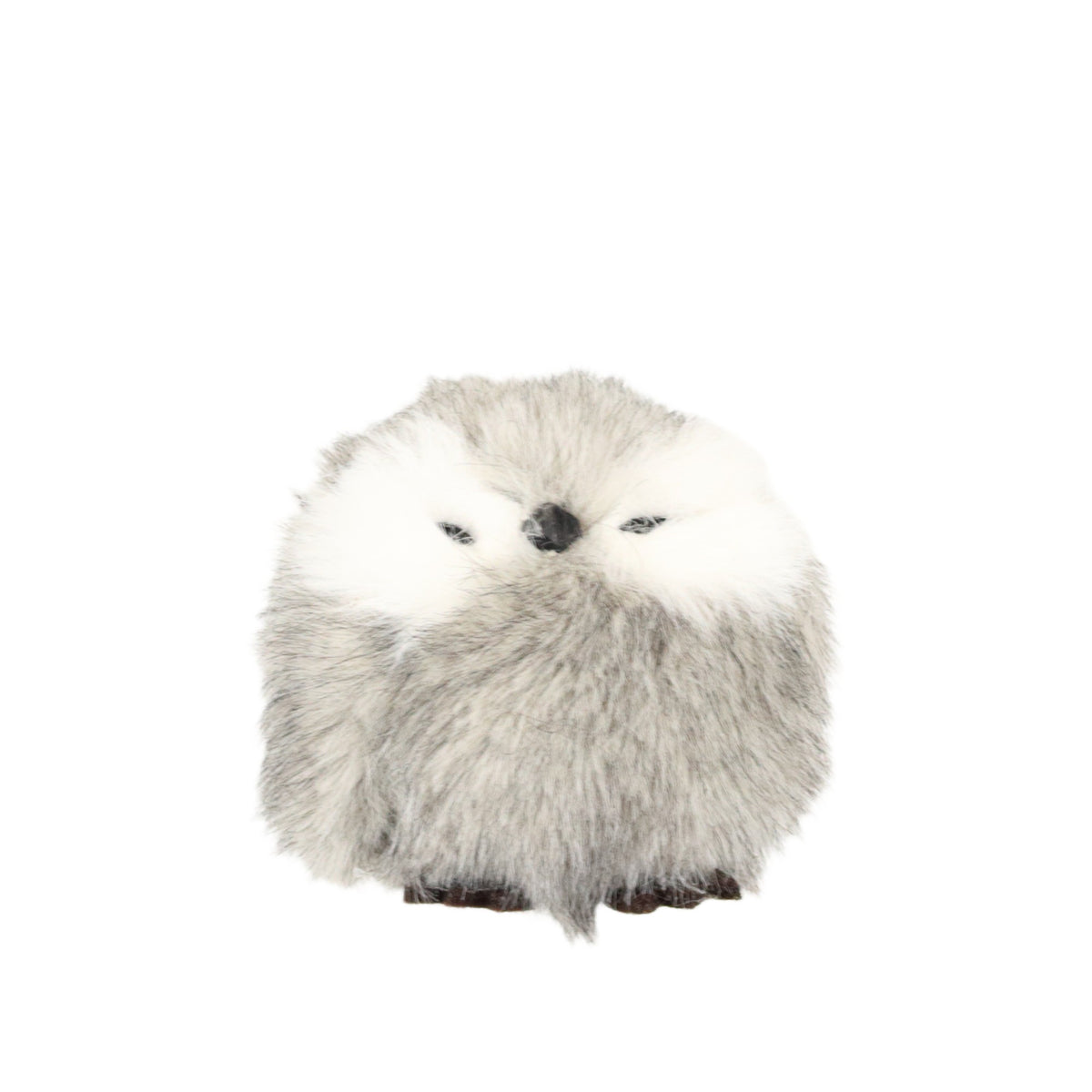 Owlet