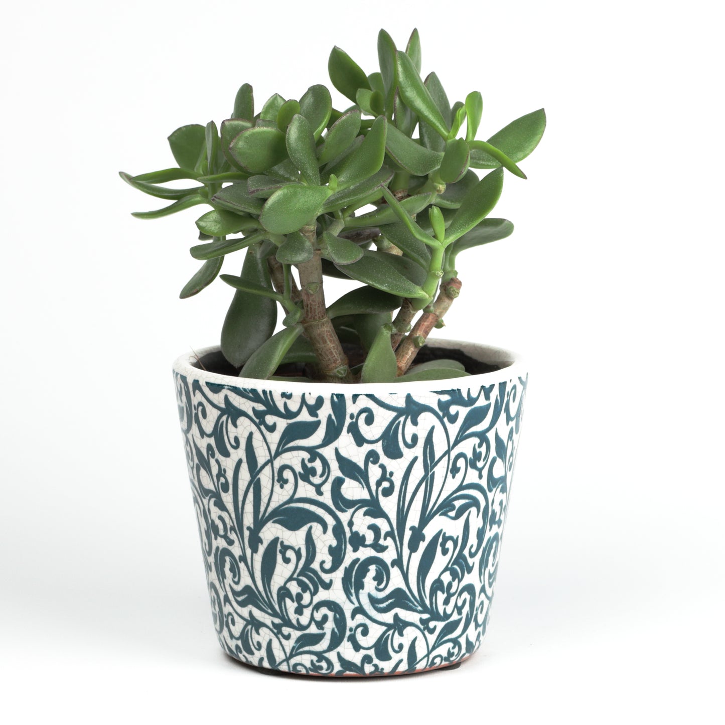 Teal Foliage Cone