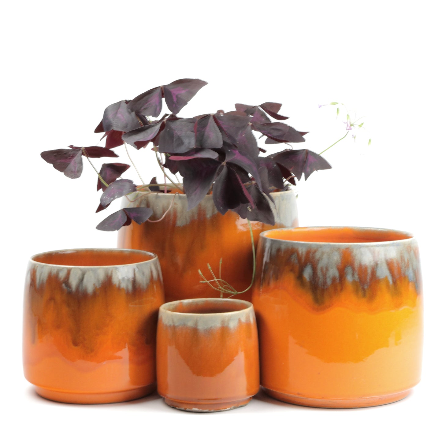 Apricot Cylinder Small