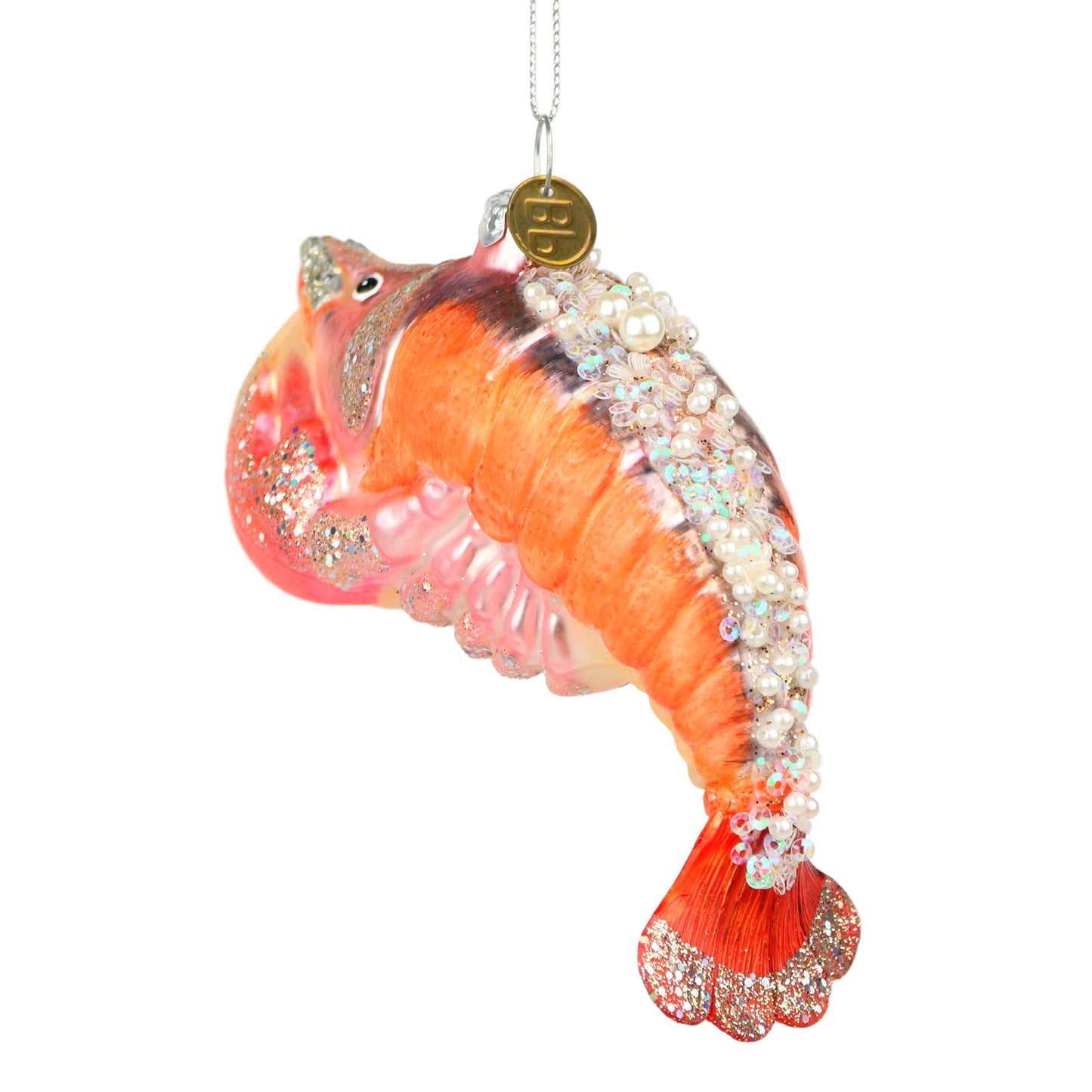 Mantis Shrimp