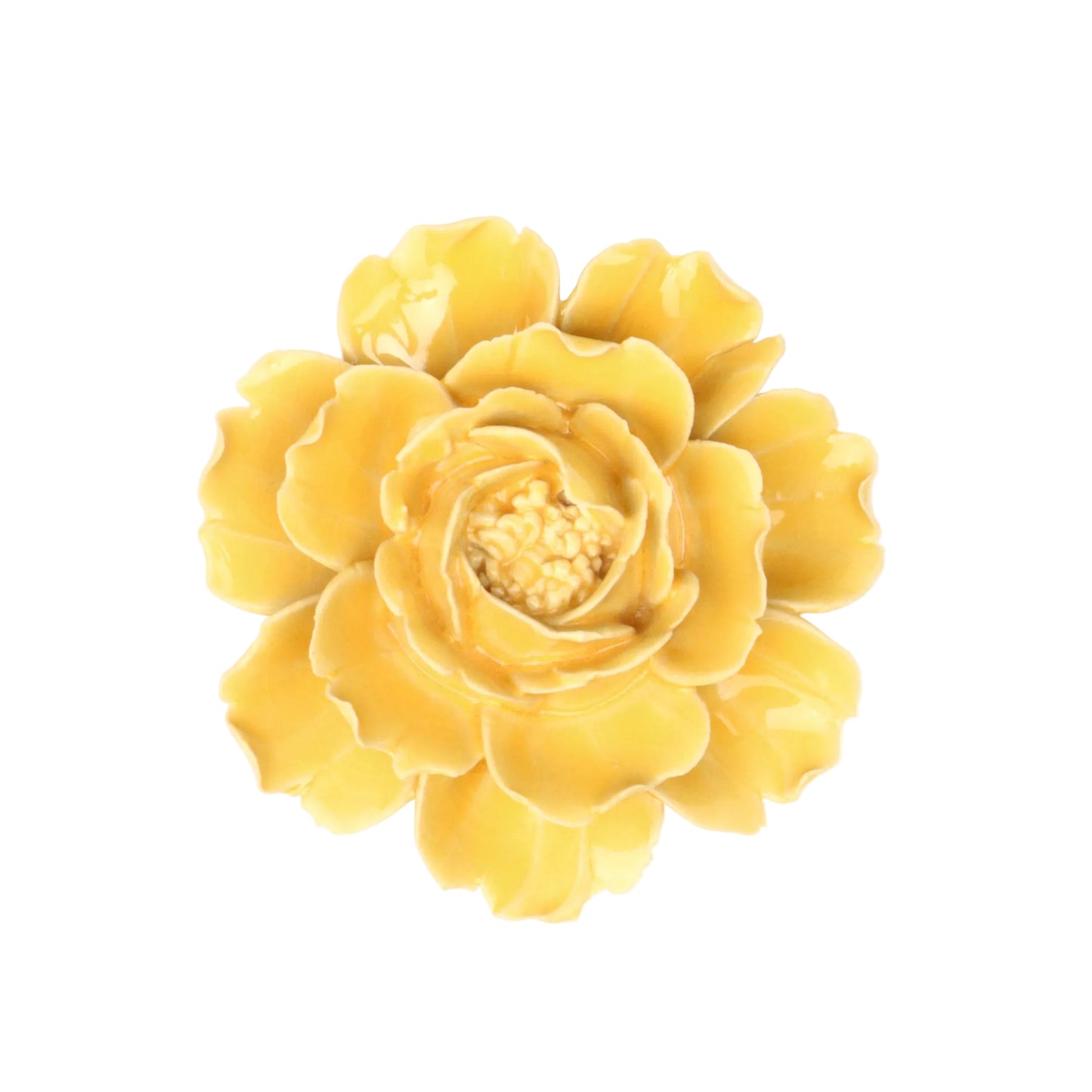 Sunshine Rose