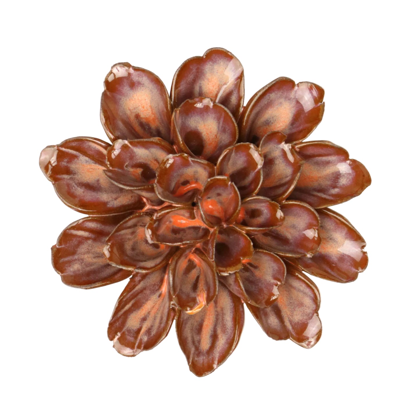 Plum Cornflower