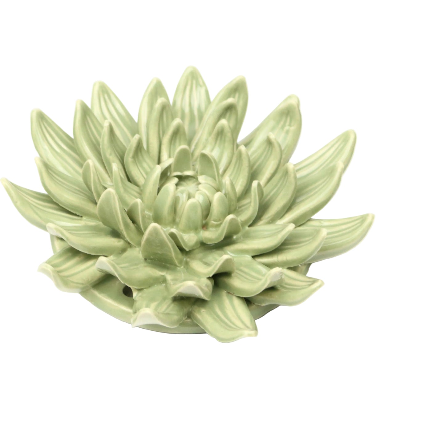 Sage Chrysanthemum