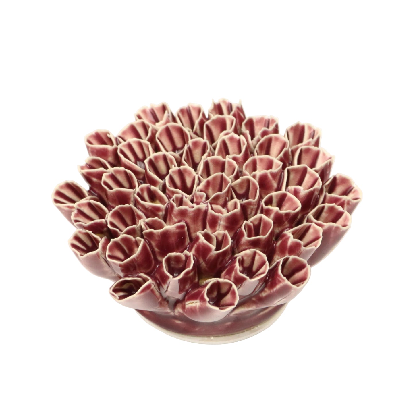 Velvet Anemone