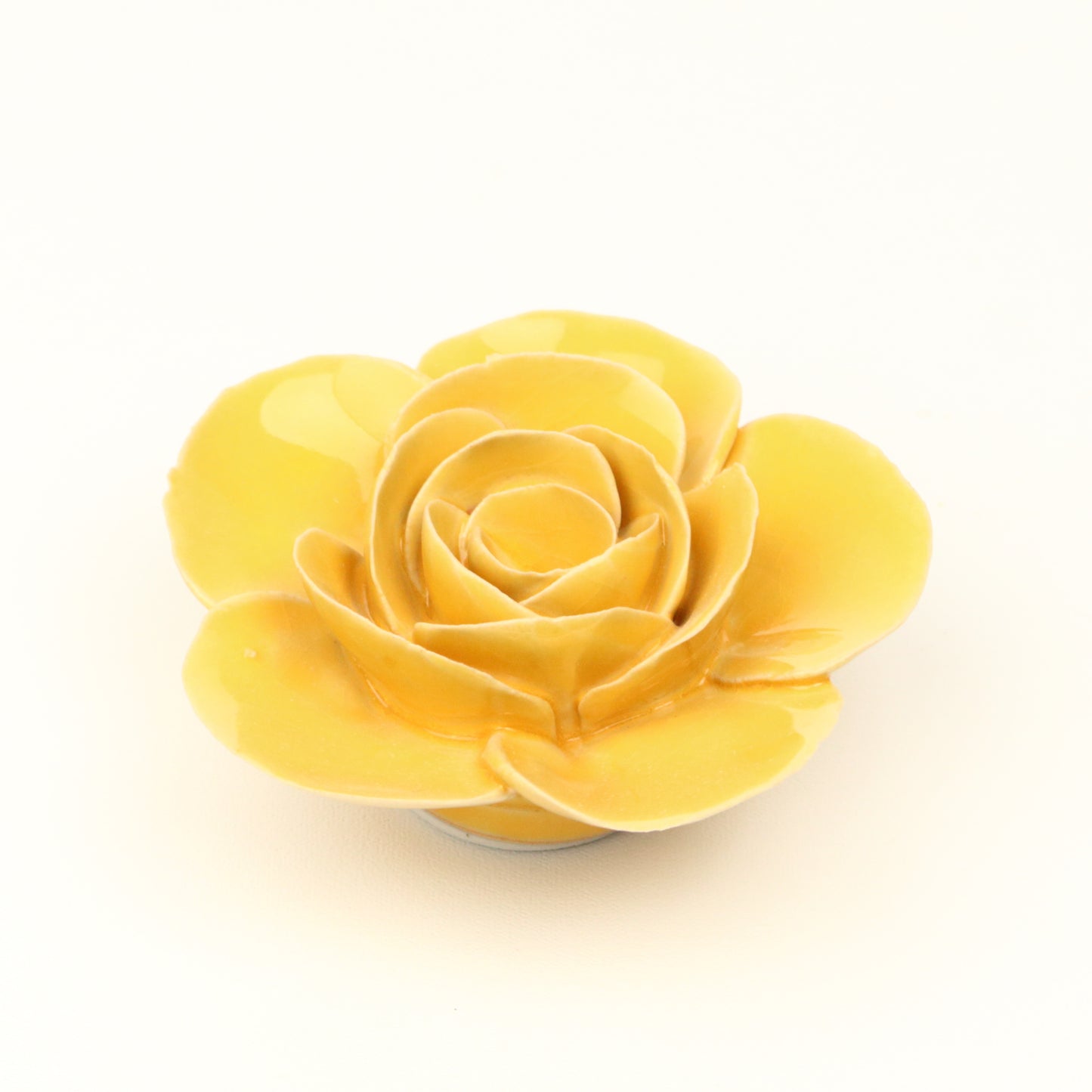Sunshine Ranunculus
