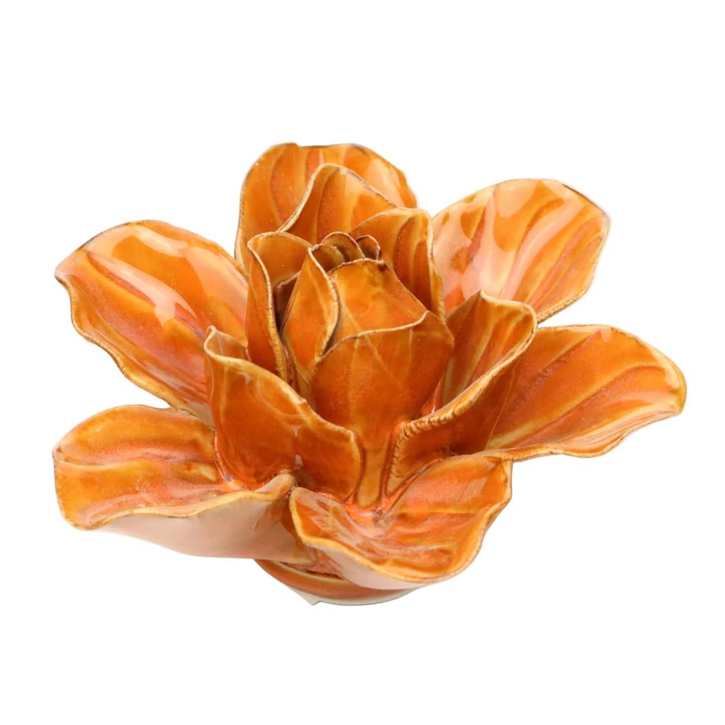 Carrot Stargazer Lily