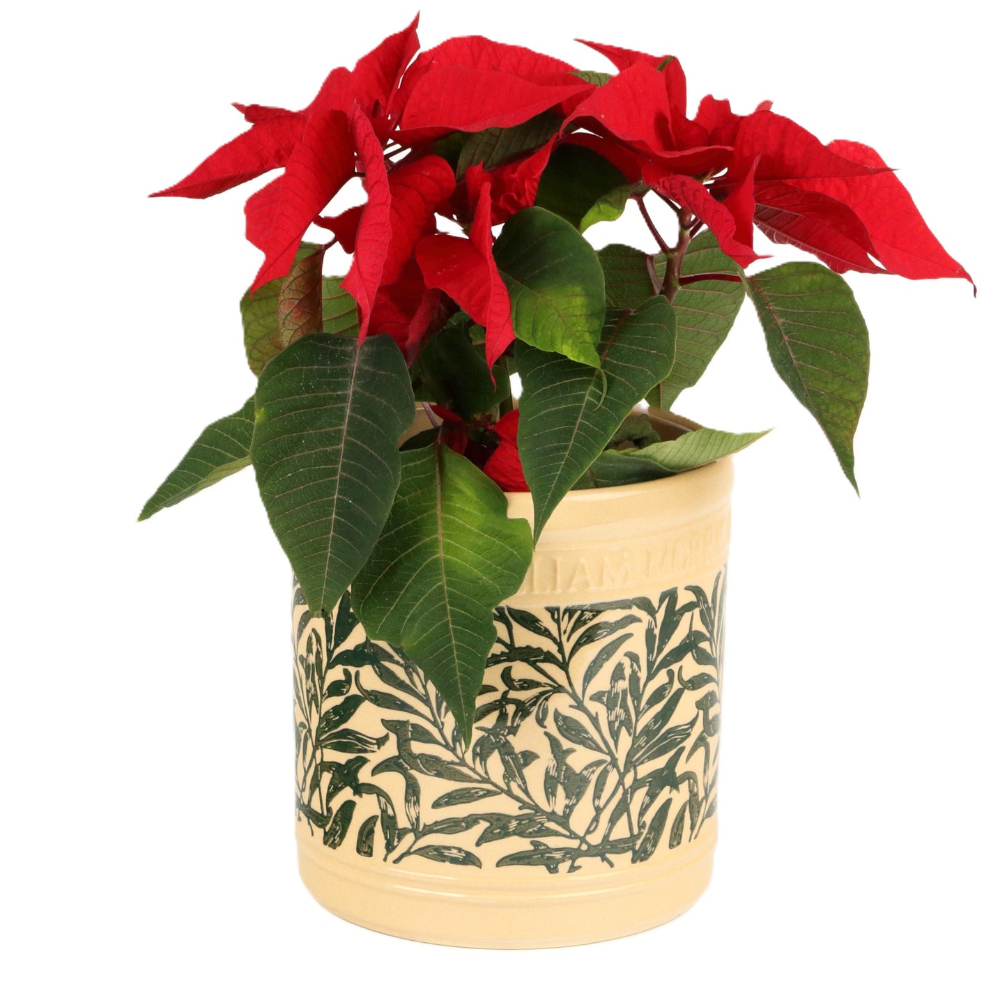 William Morris Green Pot Small