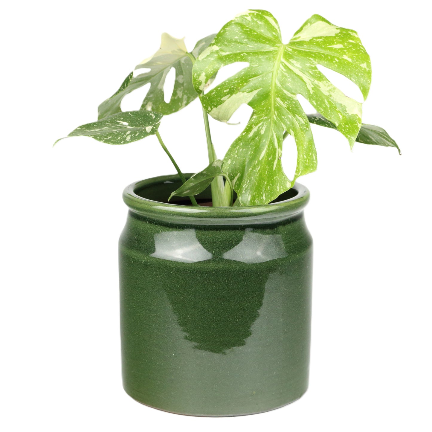 Retro Green Pot Large