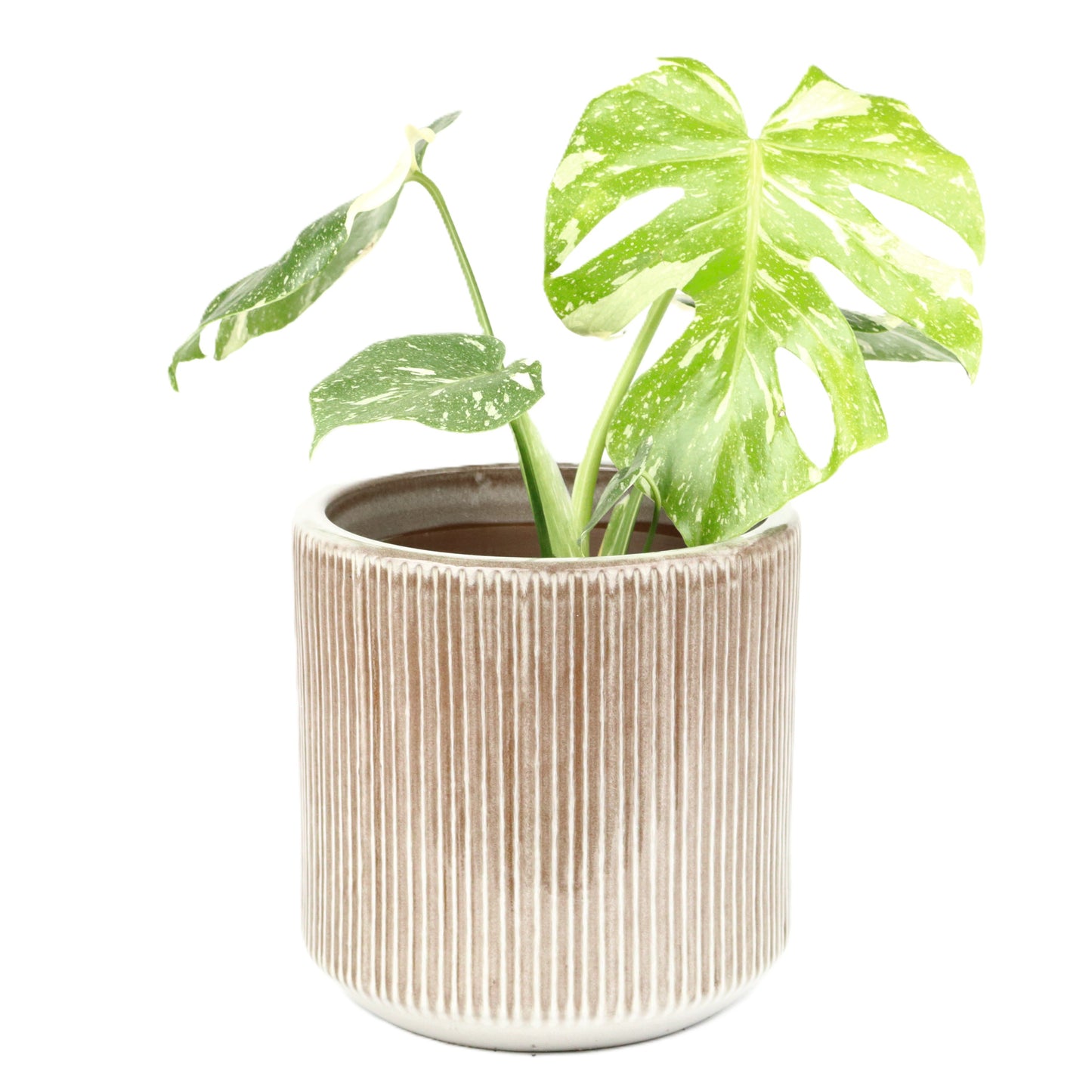 Taupe Grey Cylinder Pot Large