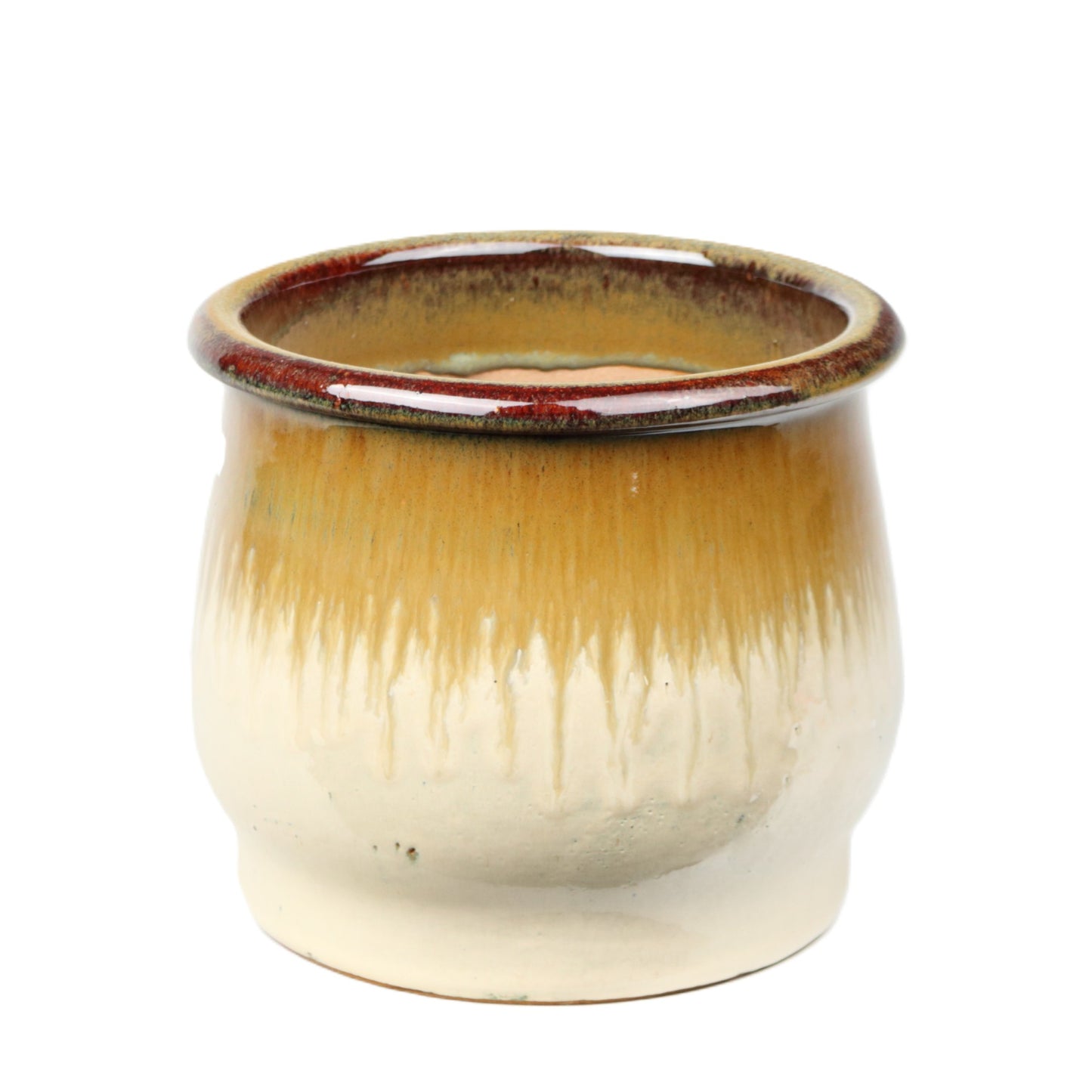 Chartreuse Tulip Pot Small