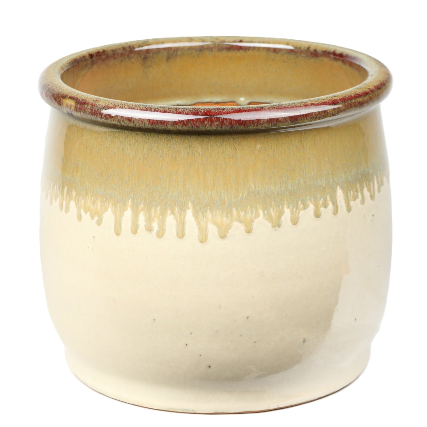Chartreuse Tulip Pot Medium