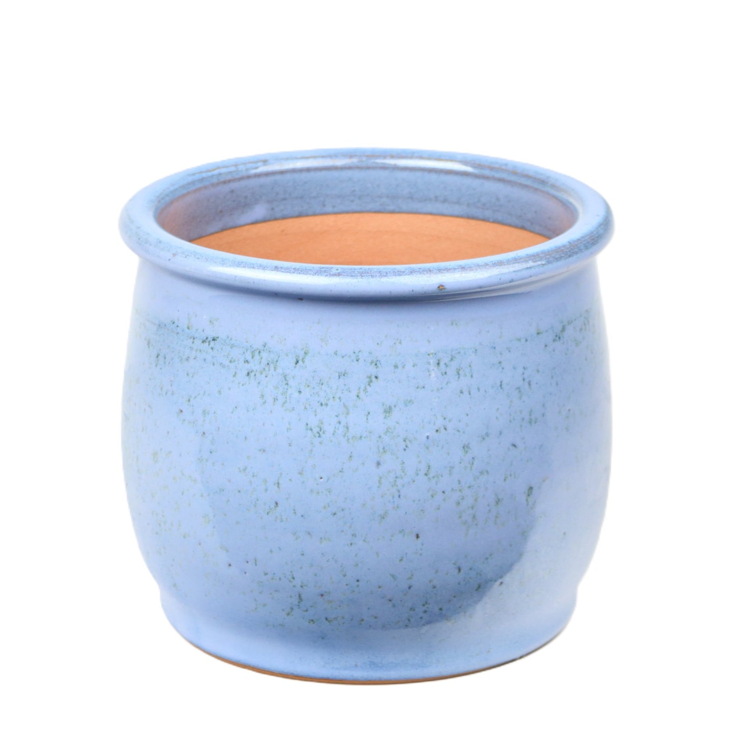 Baby Blue Tulip Pot Small