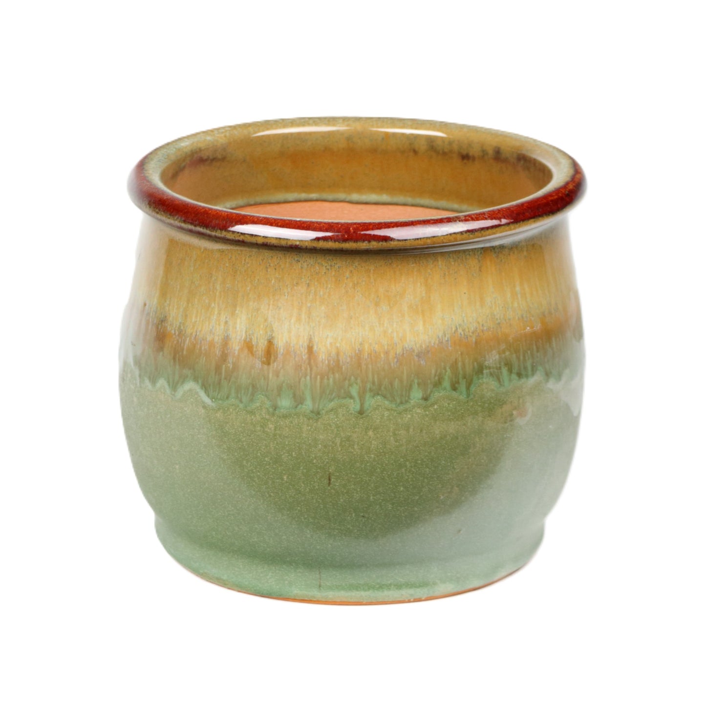 Tulip Pot Green Small