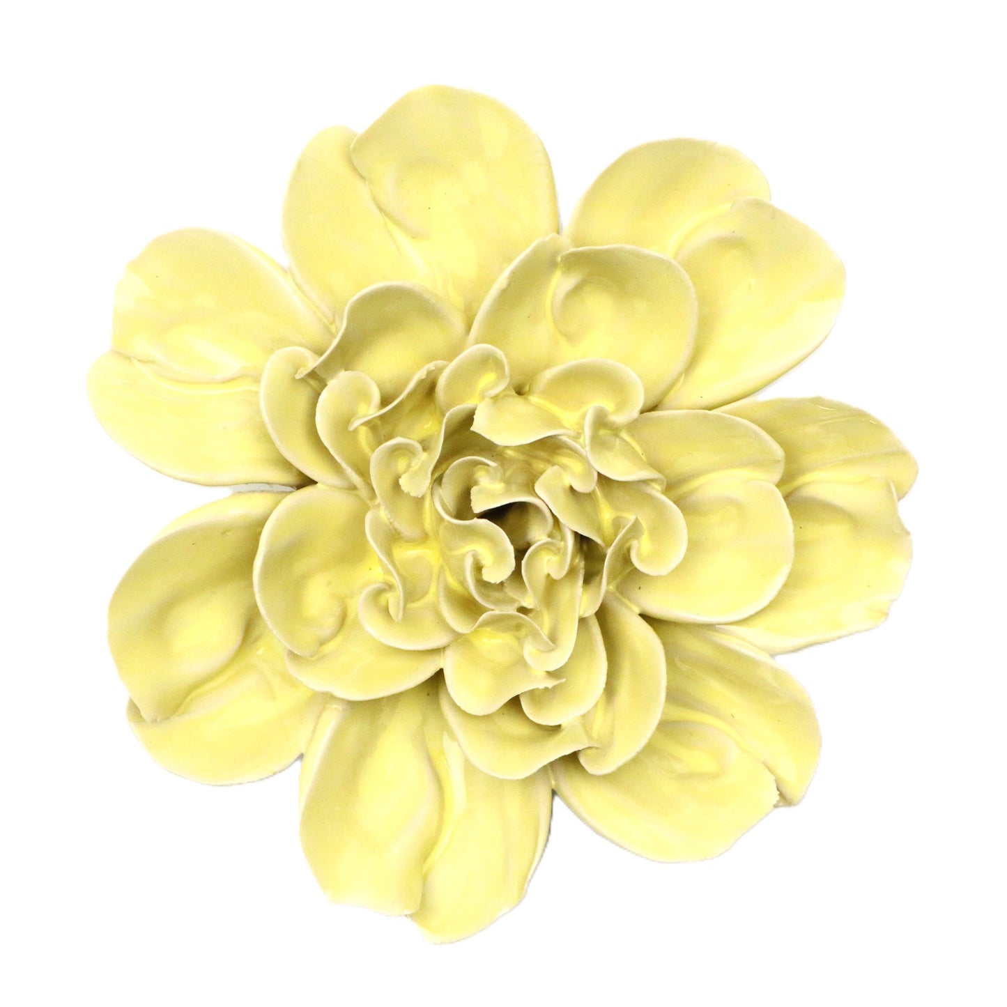 Pale Yellow Larkspur