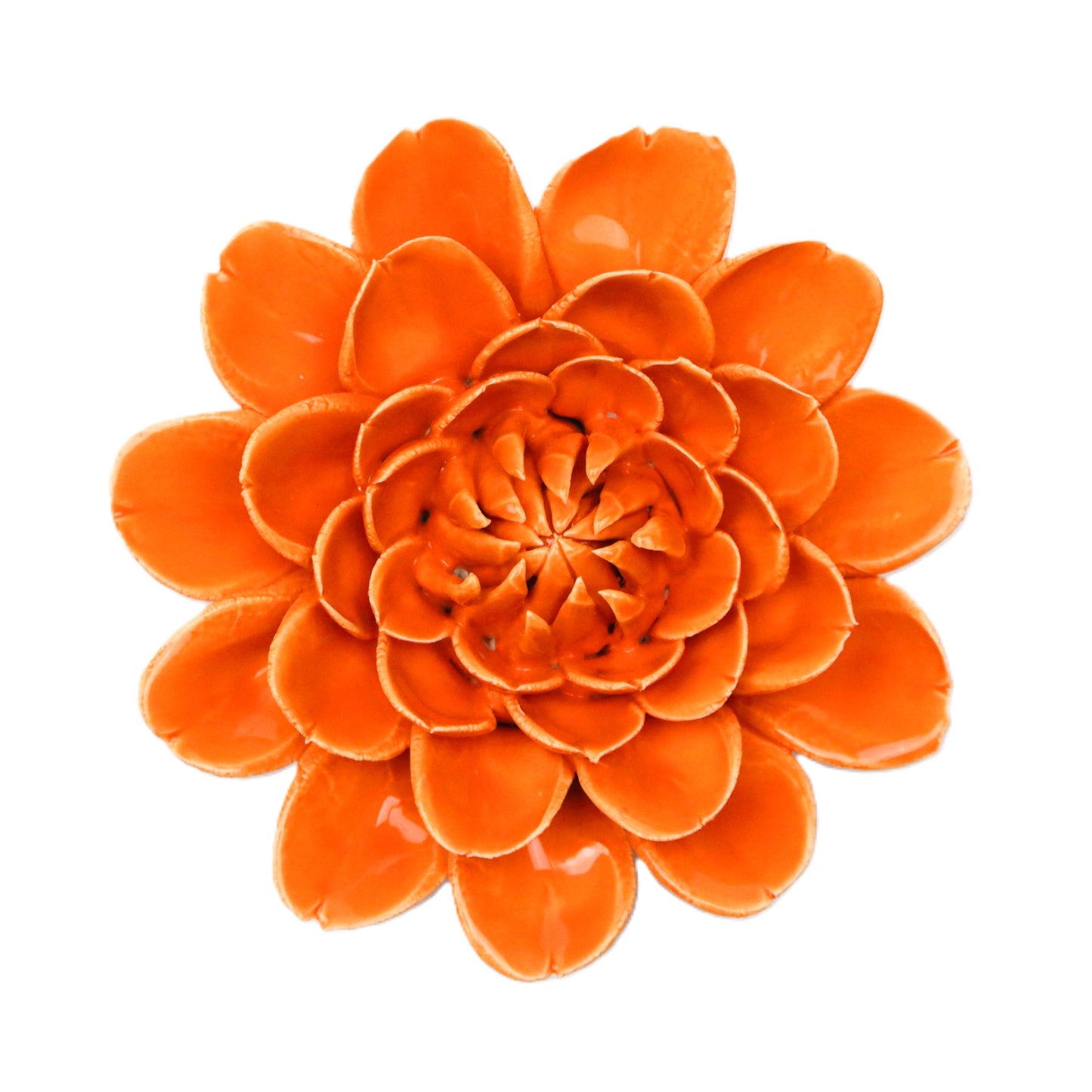Orange Marigold
