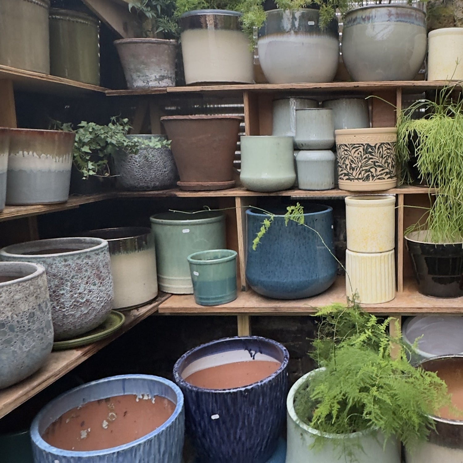 Outdoor Pots