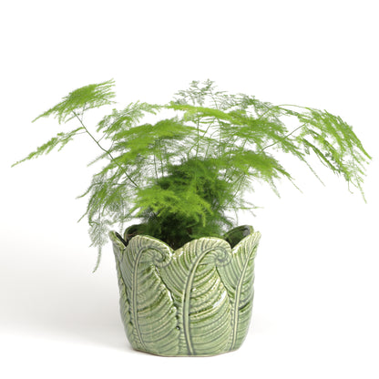 Fern Frond Flowerpot Small