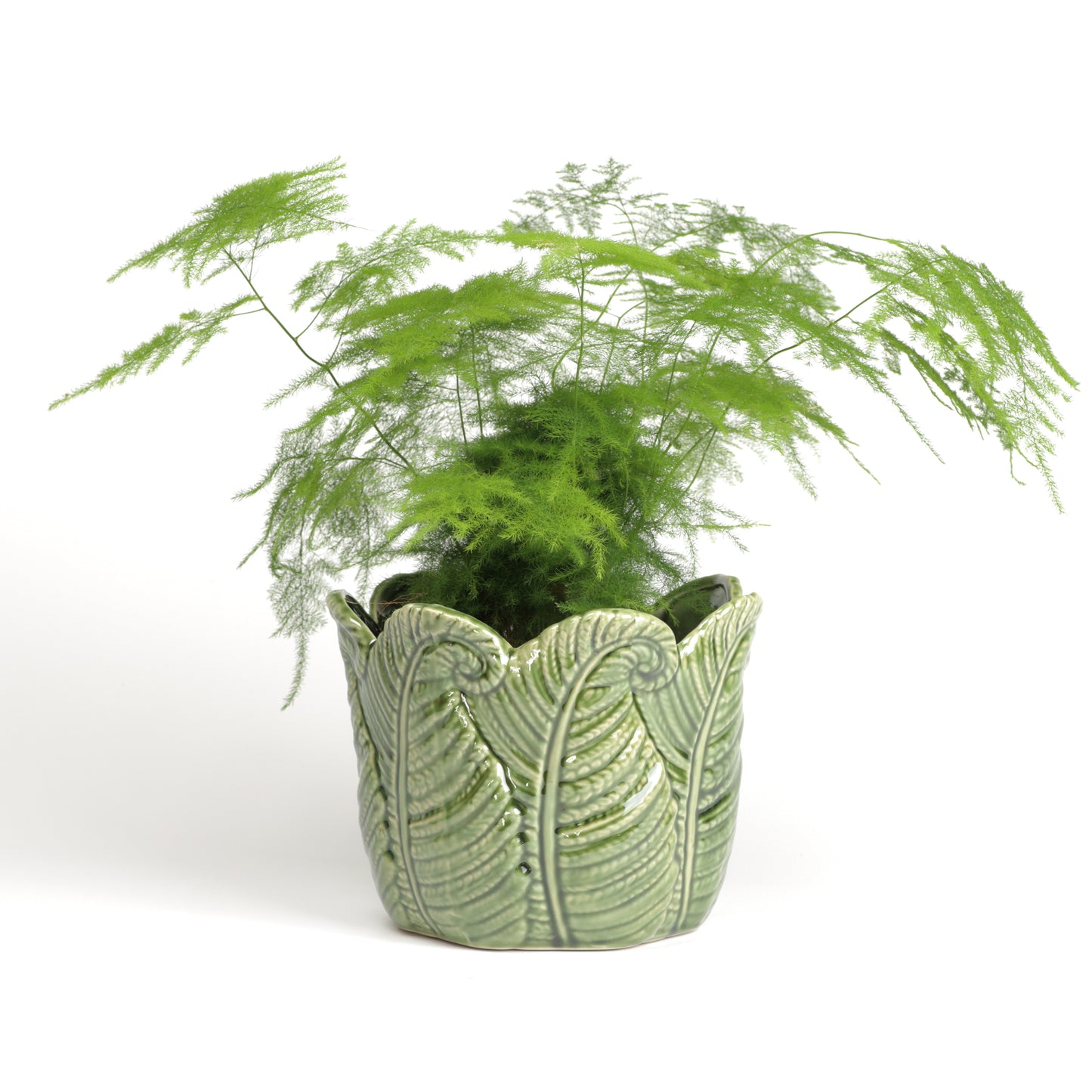 Fern Frond Flowerpot Large