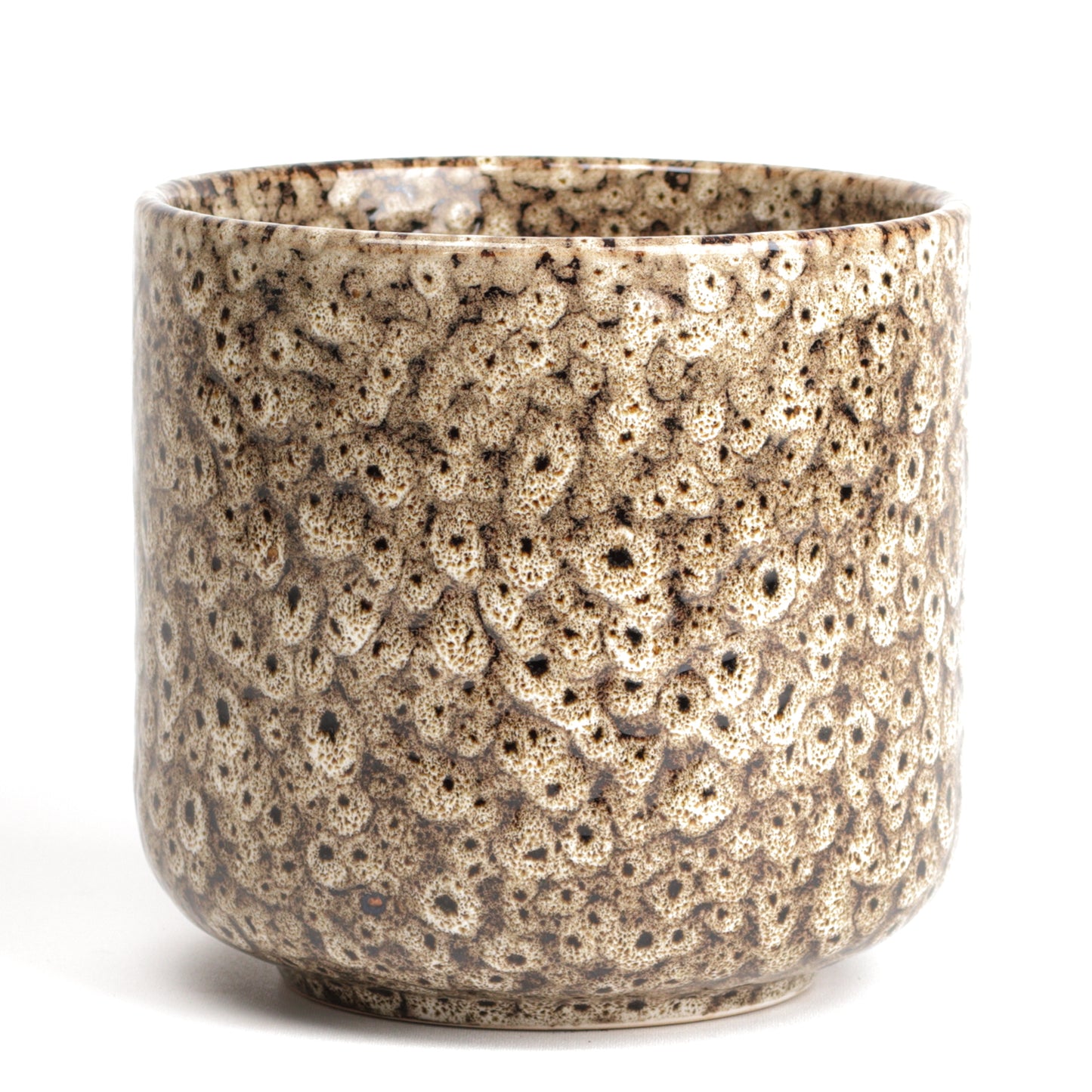 Tortilla Frogspawn Cylinder Large