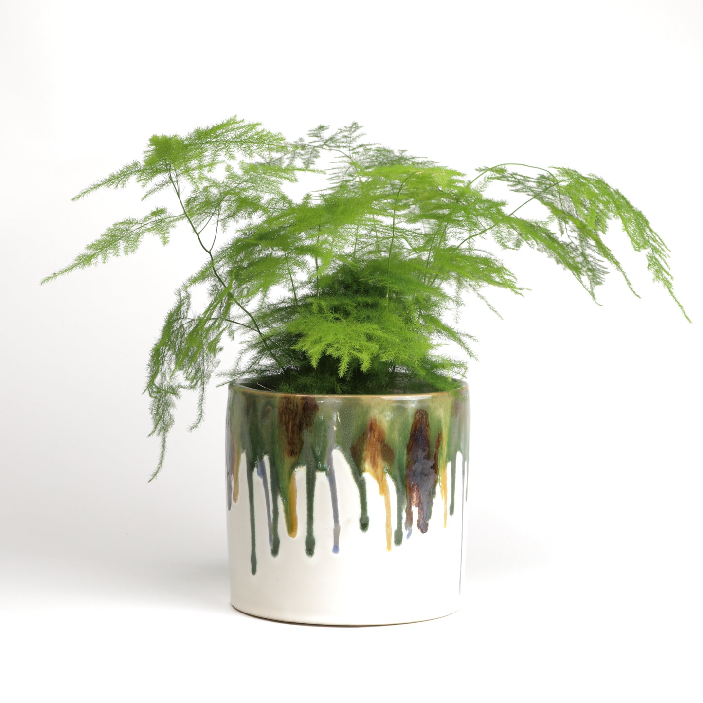 Dipped Paint Planter