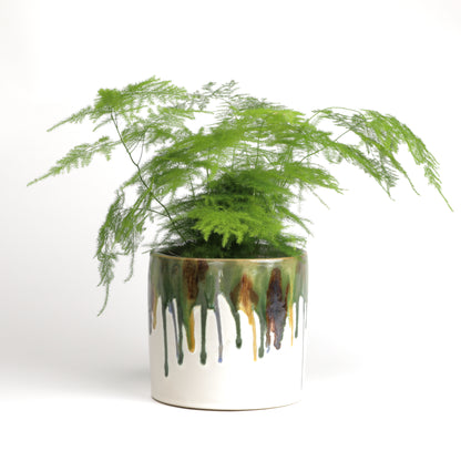 Dipped Paint Planter