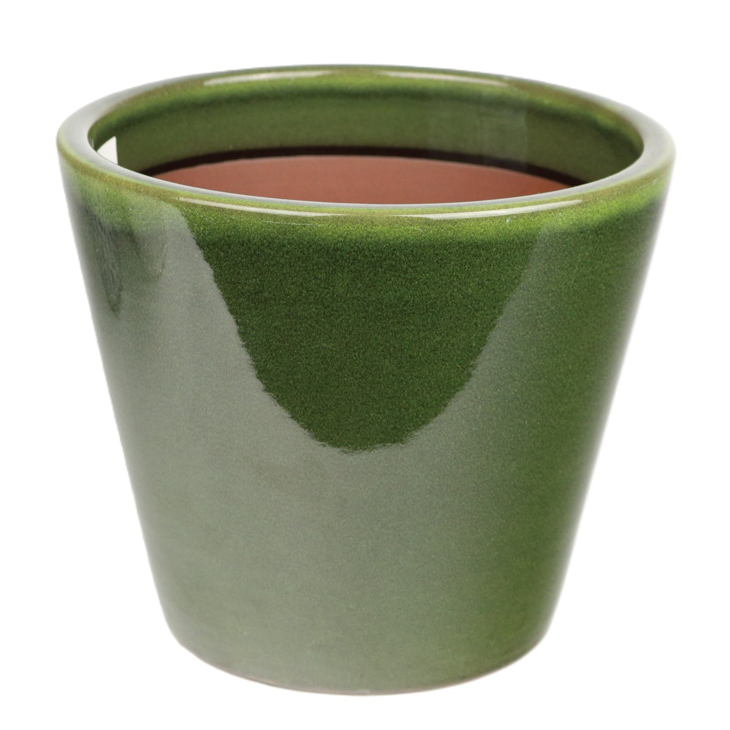 Olive Cone Large