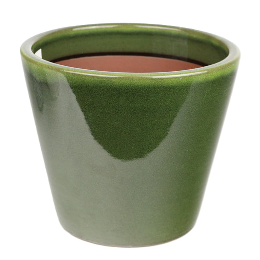 Olive Cone Large