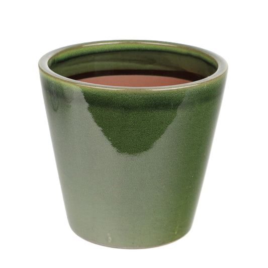 Olive Cone Medium