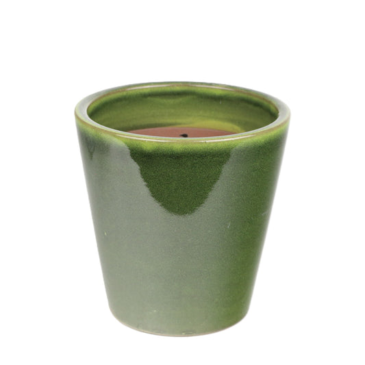Olive Cone Small