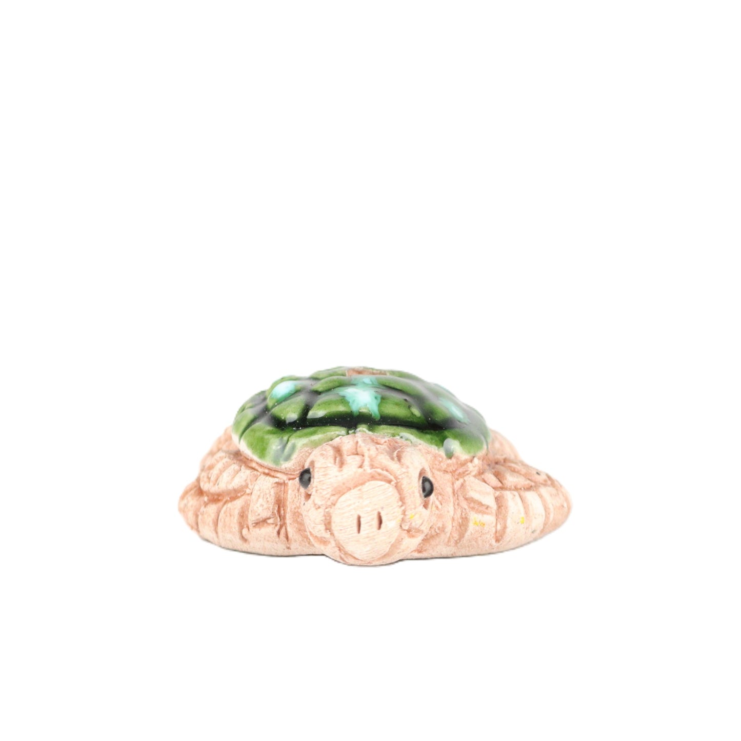 Sea Turtle