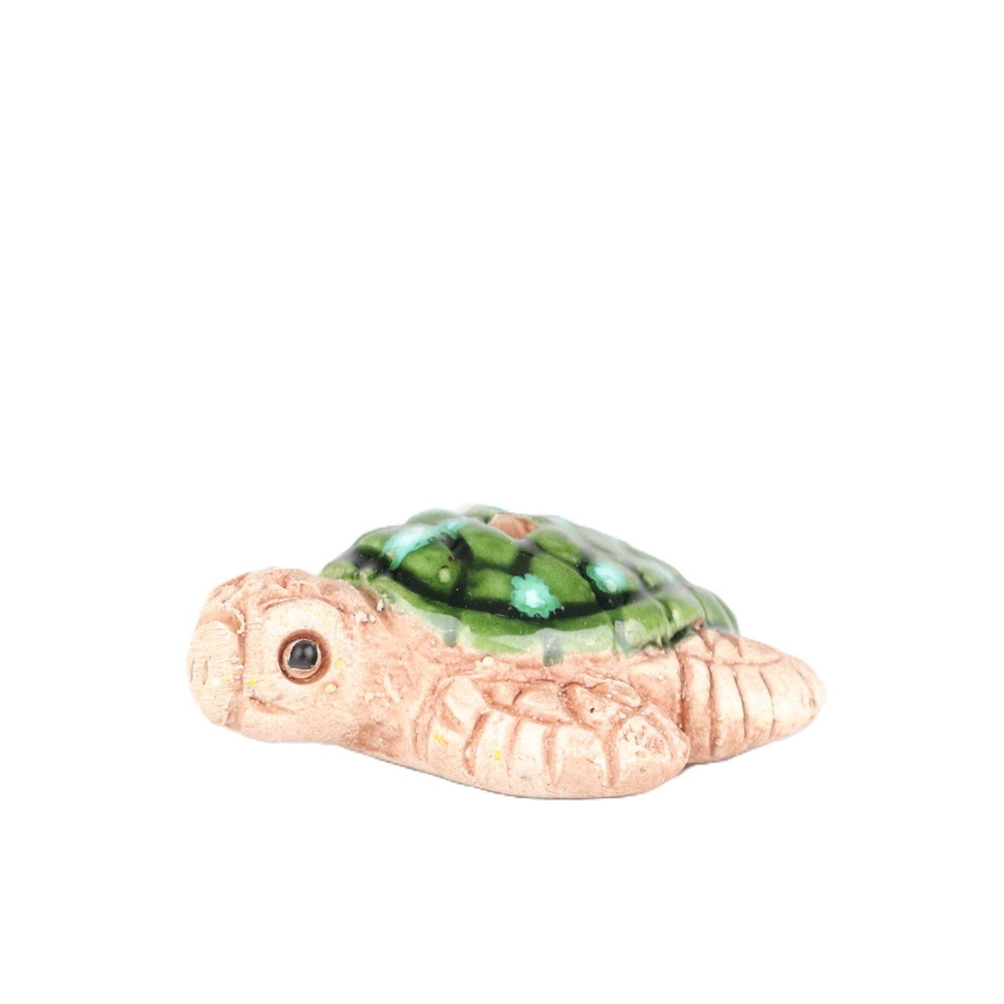 Sea Turtle