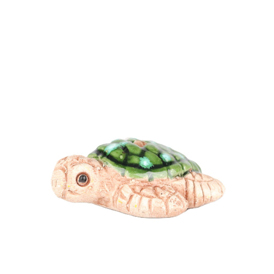 Sea Turtle