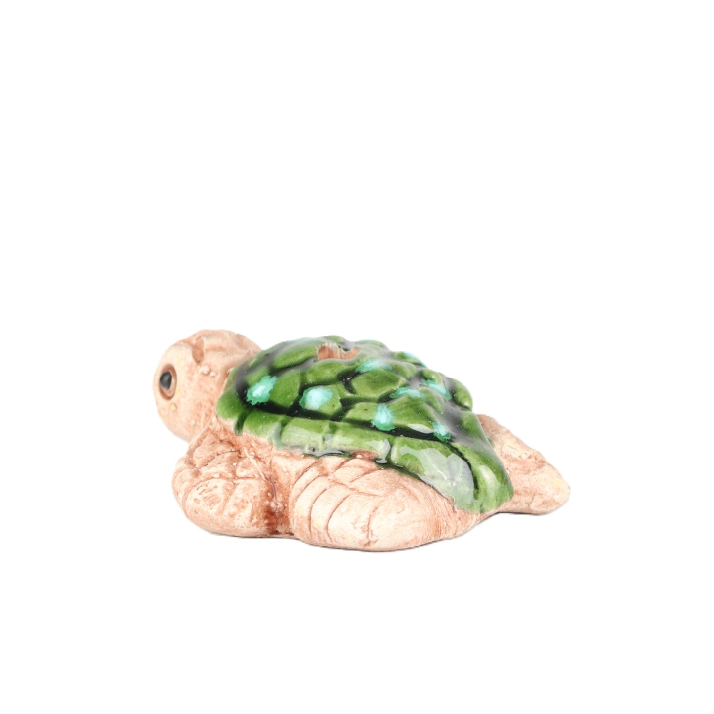 Sea Turtle