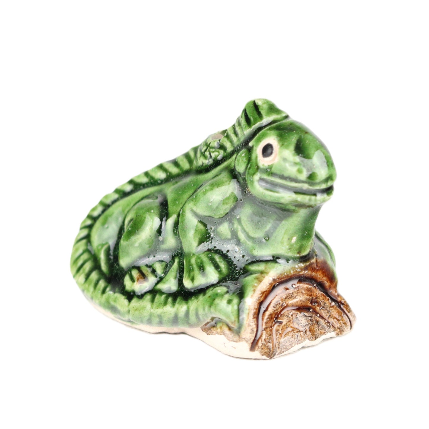 Iguana
