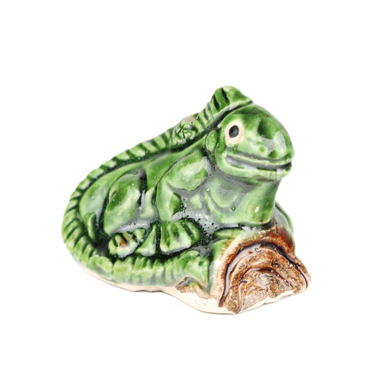 Iguana