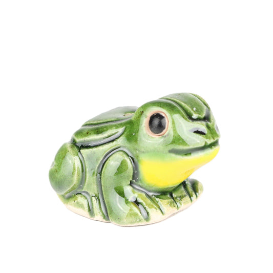Yellow Bellied Frog