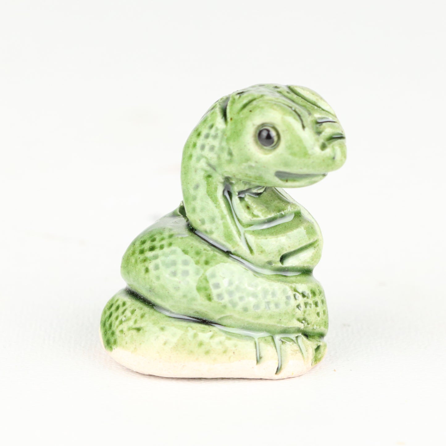 Coiled Snake