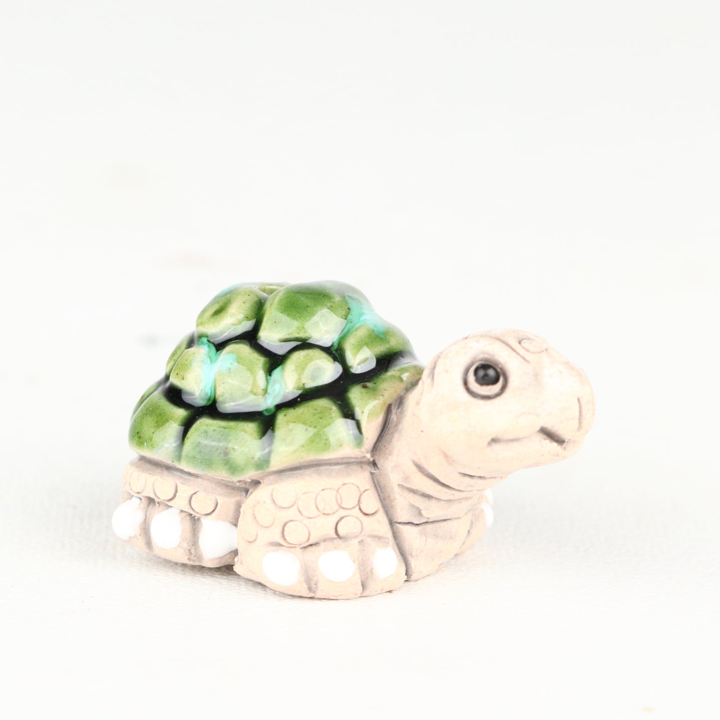 La Tortue