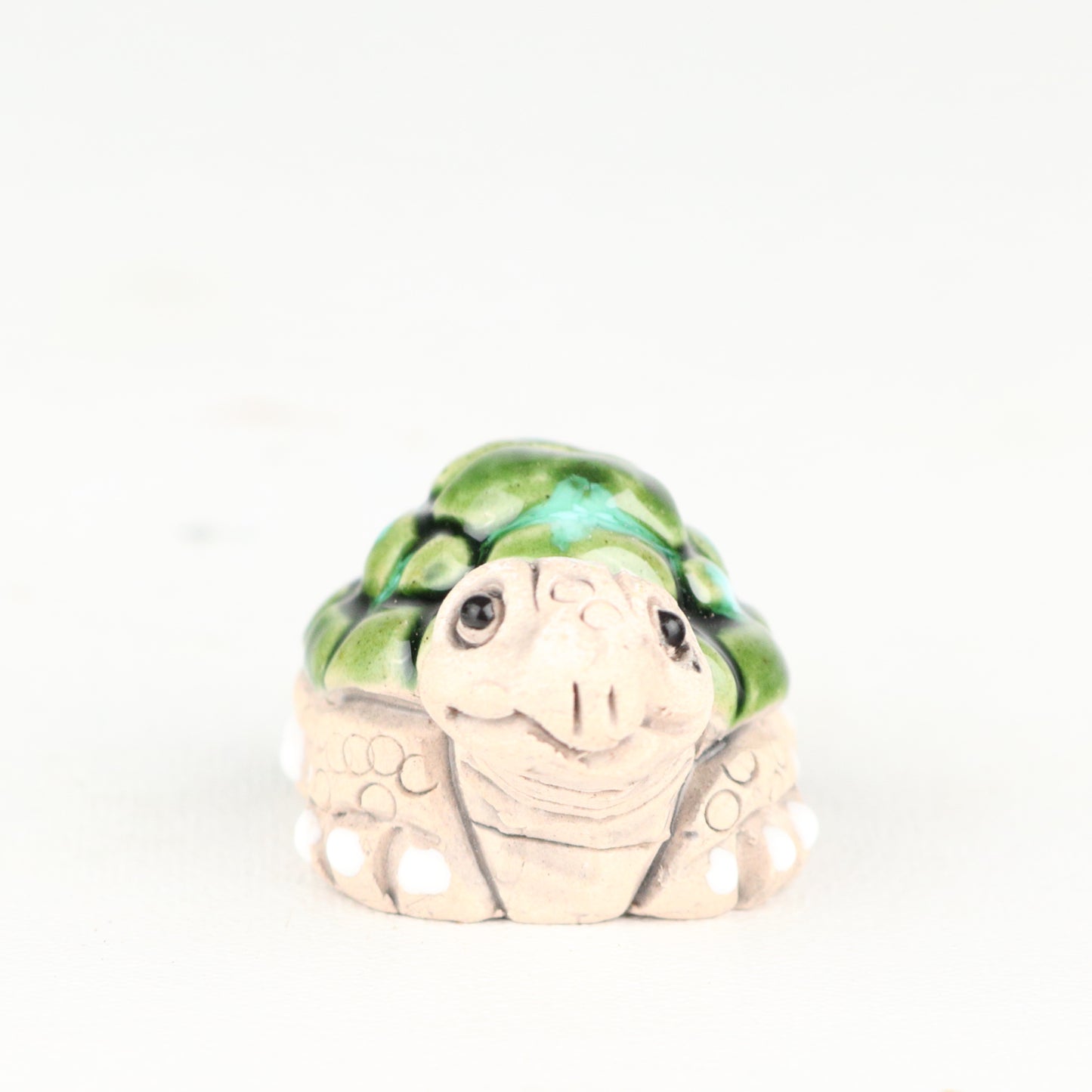 La Tortue
