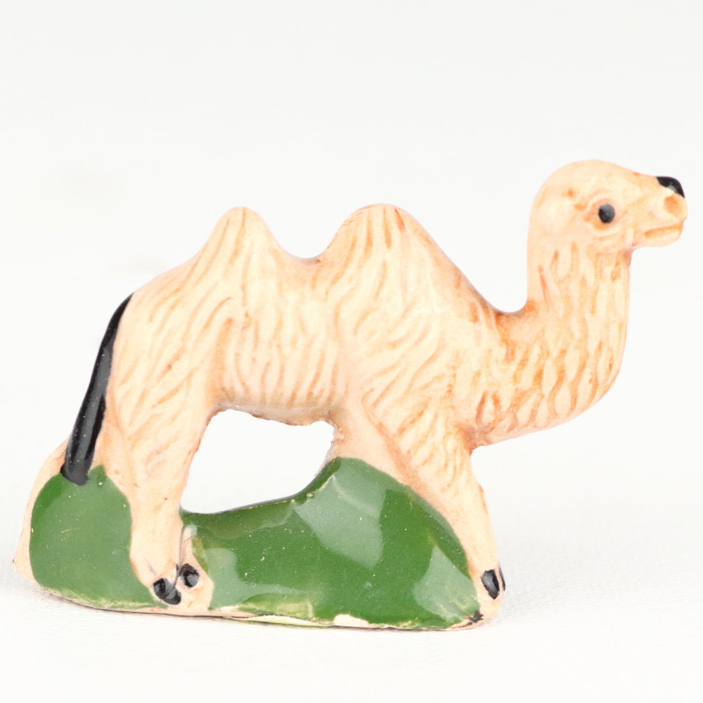 Camel
