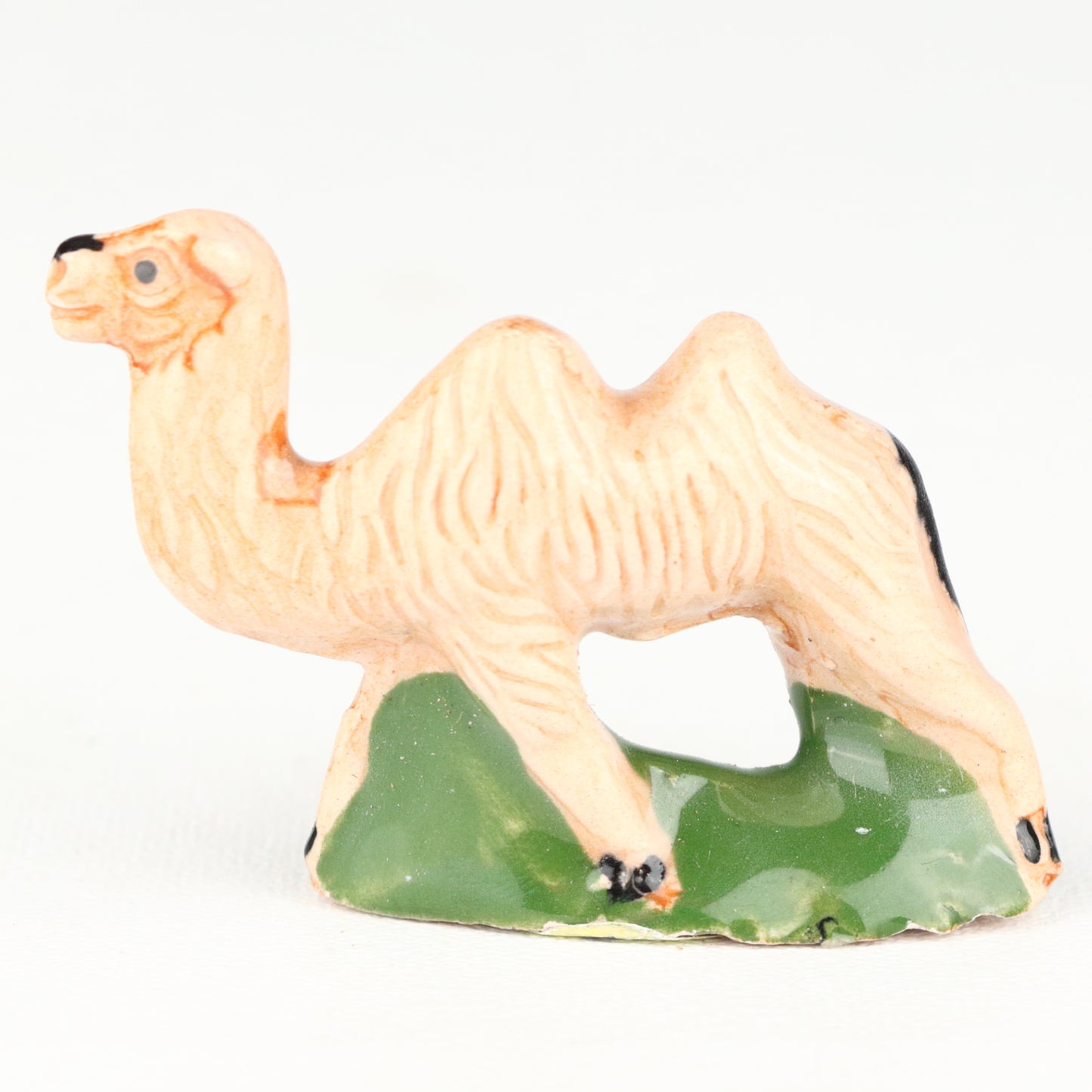 Camel