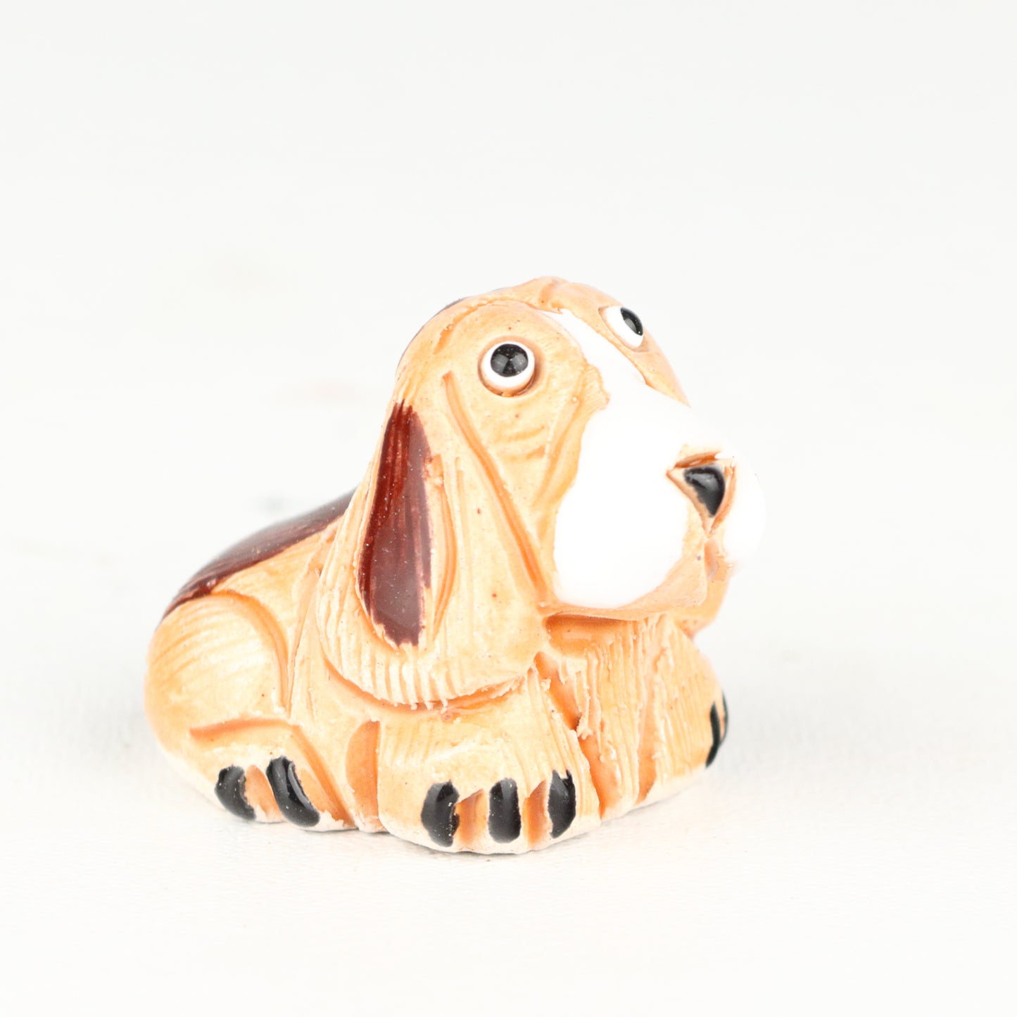 Basset Hound