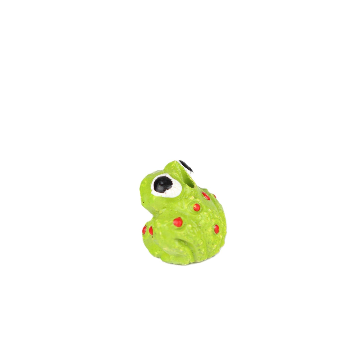 Small Frog