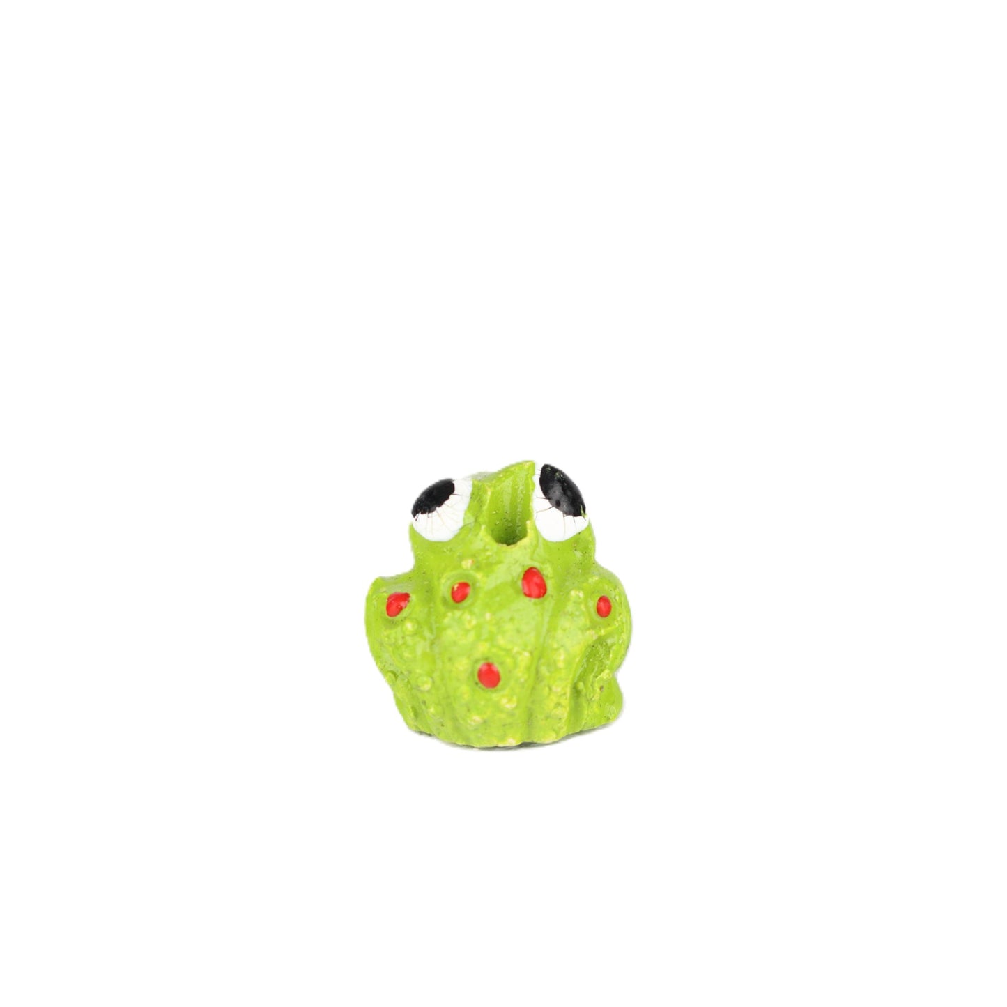 Small Frog